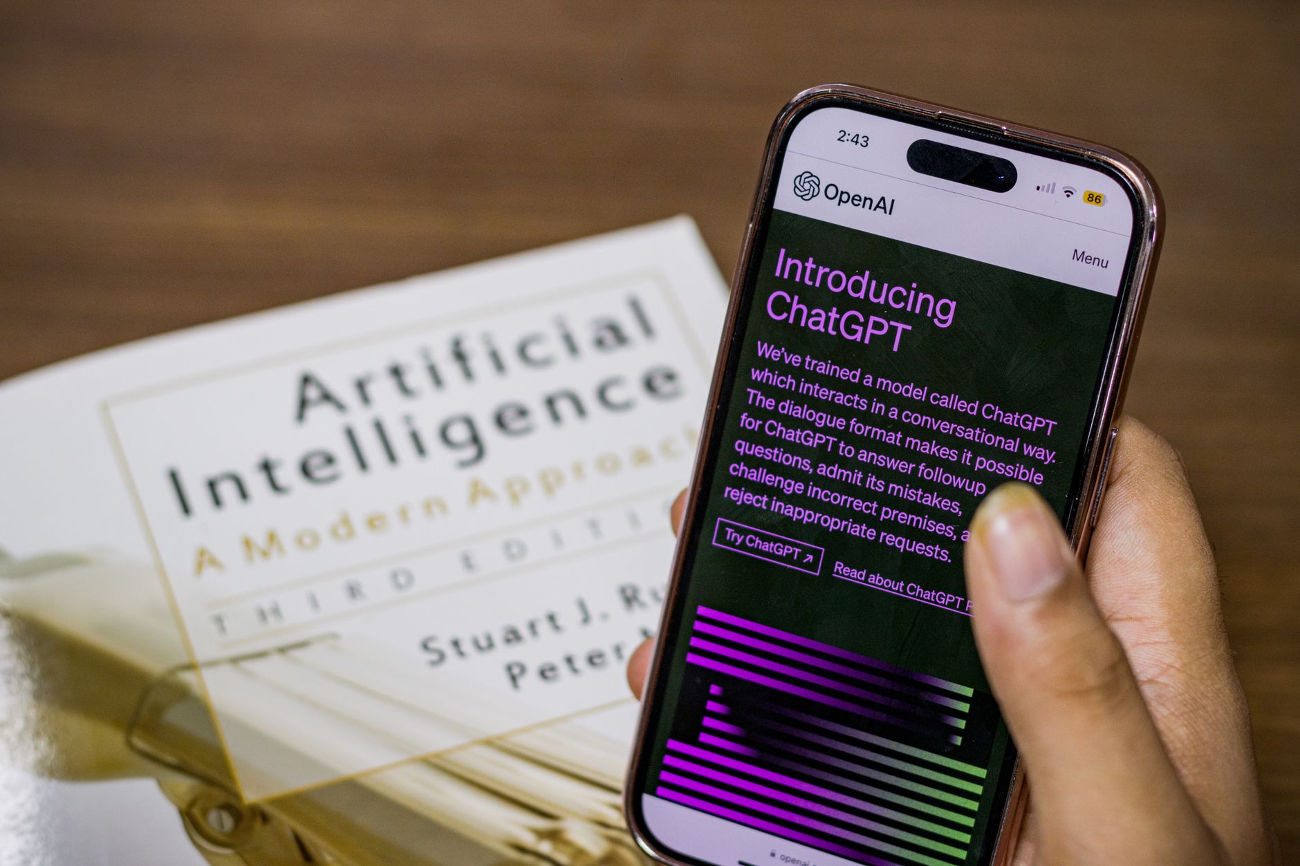 Openai Chatgpt Plus